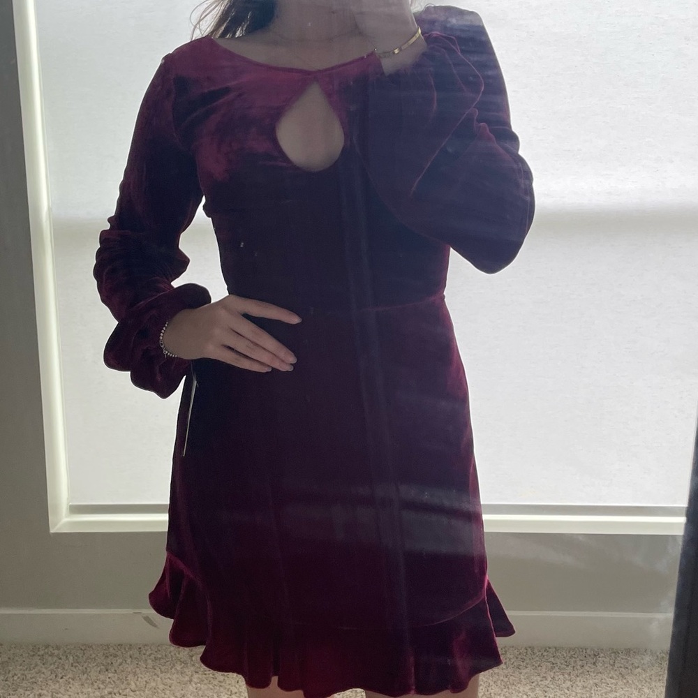 NWT For Love and Lemons Drsss